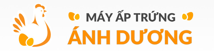 mayaptrunganhduong.com